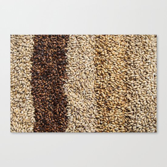 Grain Canvas Print