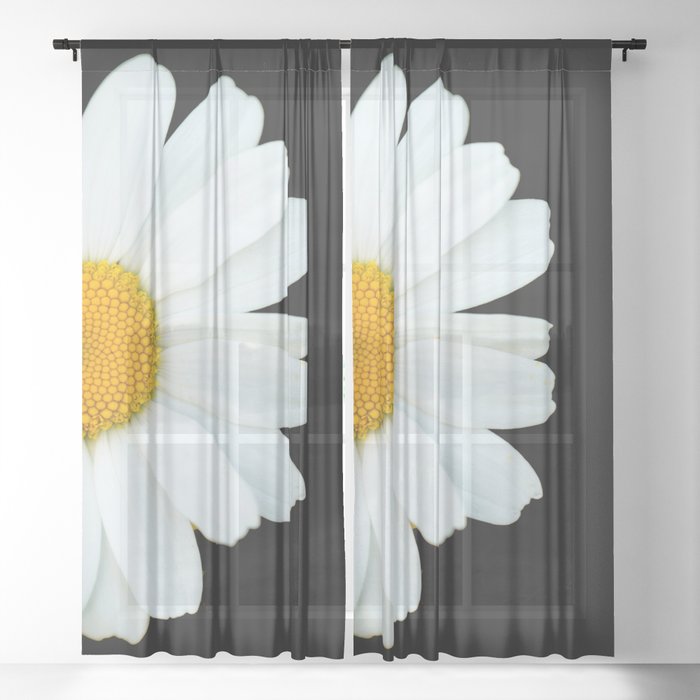 Hello Daisy - White Flower Black Background #decor #society6 #buyart Sheer Curtain