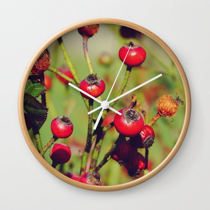 Rose Hip Fruit | Nature Photography  Wall Clock