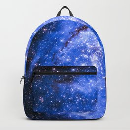 Cosmos 2 Backpack