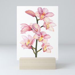 The Orchid, A Realistic Botanical Watercolor Painting Mini Art Print