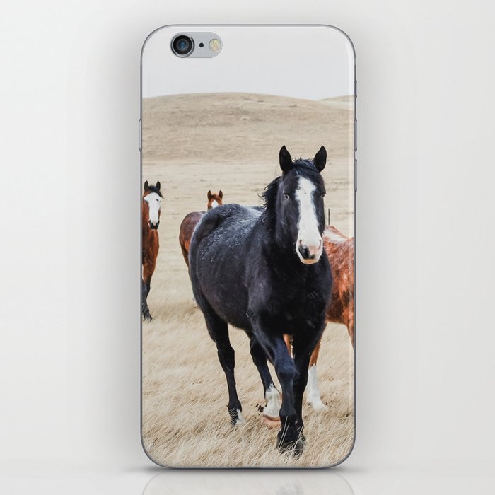 Wild Horses In the Field iPhone Skin