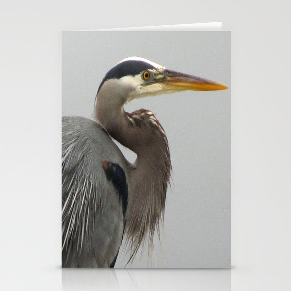 Handsome Heron Stationery Cards