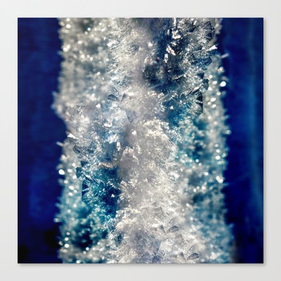Frozen Beauty Canvas Print