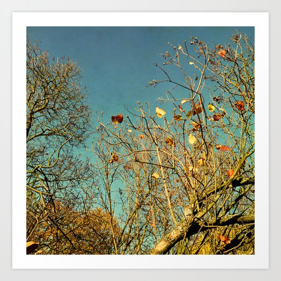 autumn skies Art Print