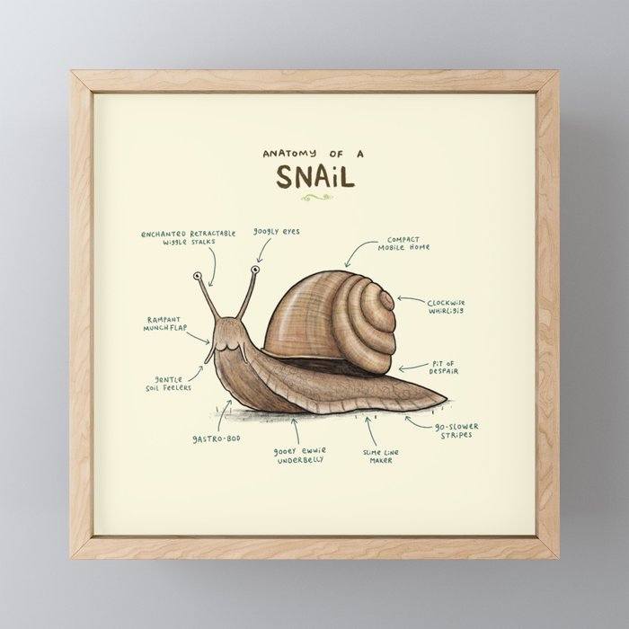 Anatomy of a Snail Framed Mini Art Print