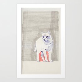 Cat 01 Art Print