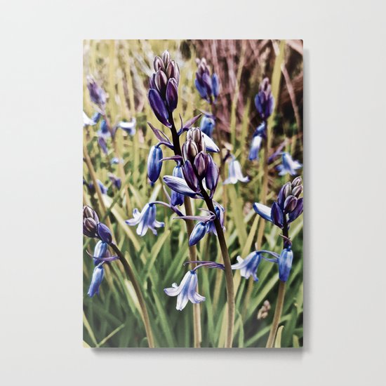 Bluebells, Magical Flowers Of Spells Metal Print