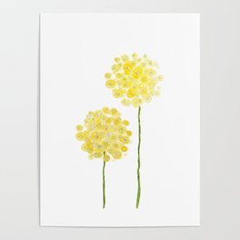 two abstract dandelions watercolor Poster
