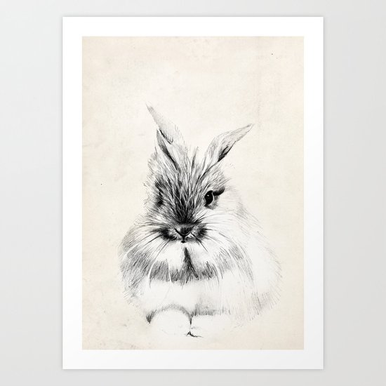 Little rabbit Art Print