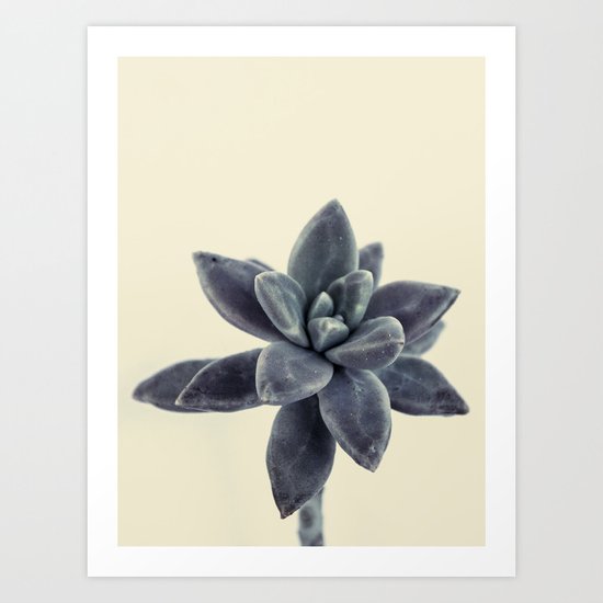 flower succulents plants Art Print