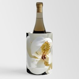 Steel Magnolias - Sweet scented white Magnolia flower Wine Chiller