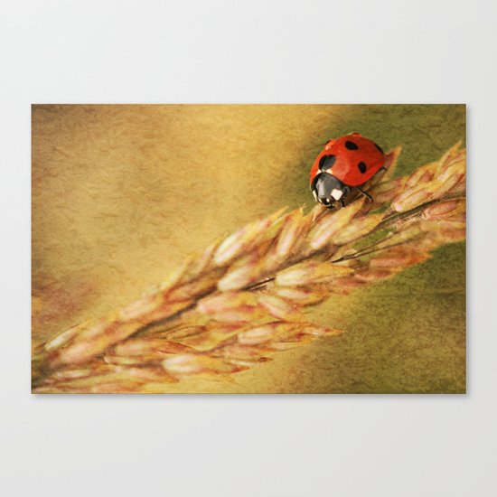Lady on a Grass Canvas Print