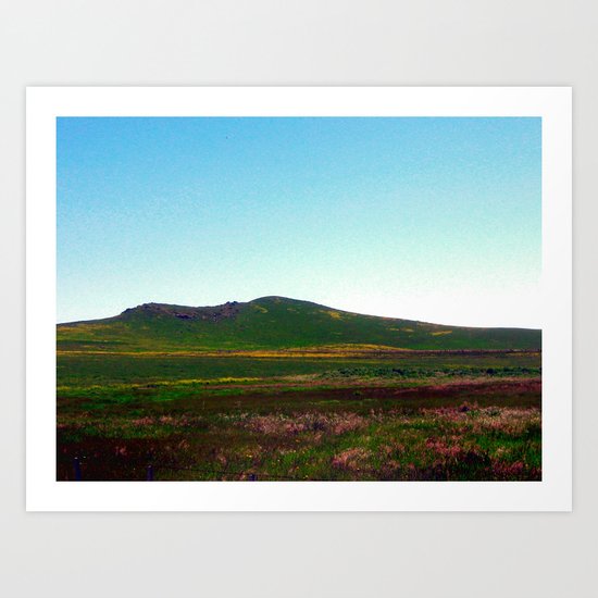 Wildflowers Art Print