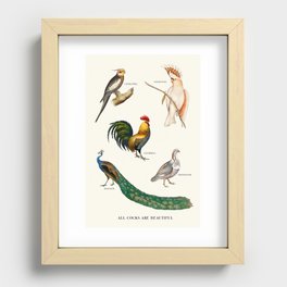 All Cocks Are Beautiful Recessed Framed Print