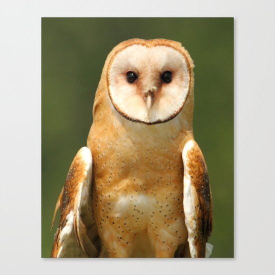 In her eyes Canvas Print