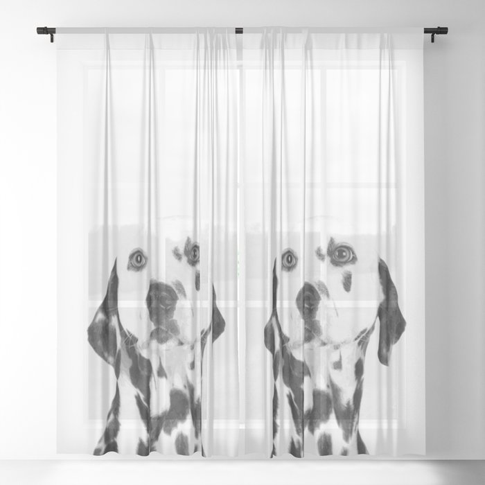Sheer Curtain