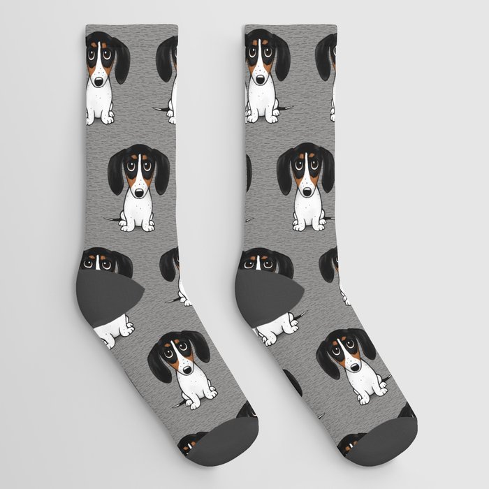 Piebald Dachshund | Cute Wiener Dog Puppy Socks