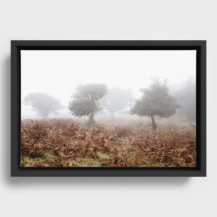 Fern Field and Trees in Fog Framed Canvas