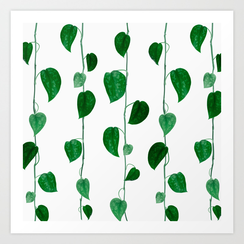 Vine Designs Art Print By These Little Leaves Society6