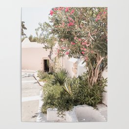 Greece Summer Scenery With Plants Photo | White Island Architecture Art Print | Europe Travel Photography Poster
