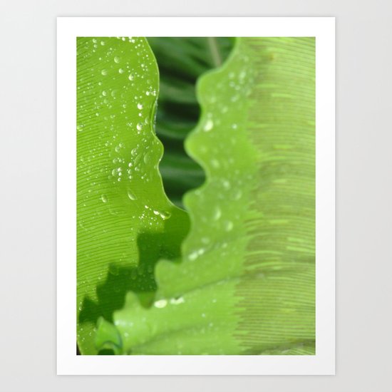 dew drops. Art Print