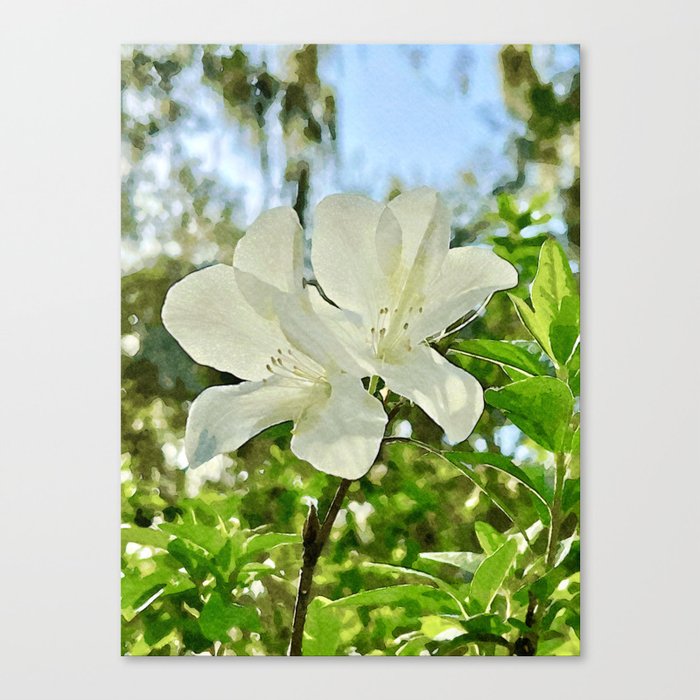 The White Flower Pairing Canvas Print