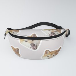 Tomo Fanny Pack