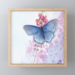 Butterfly blue Framed Mini Art Print