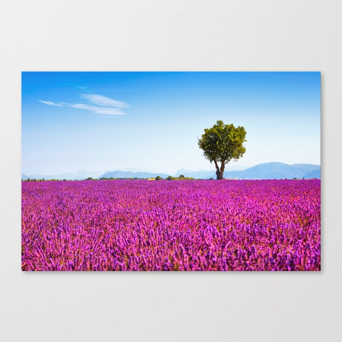 Tree and Lavender Flowers Canvas Print