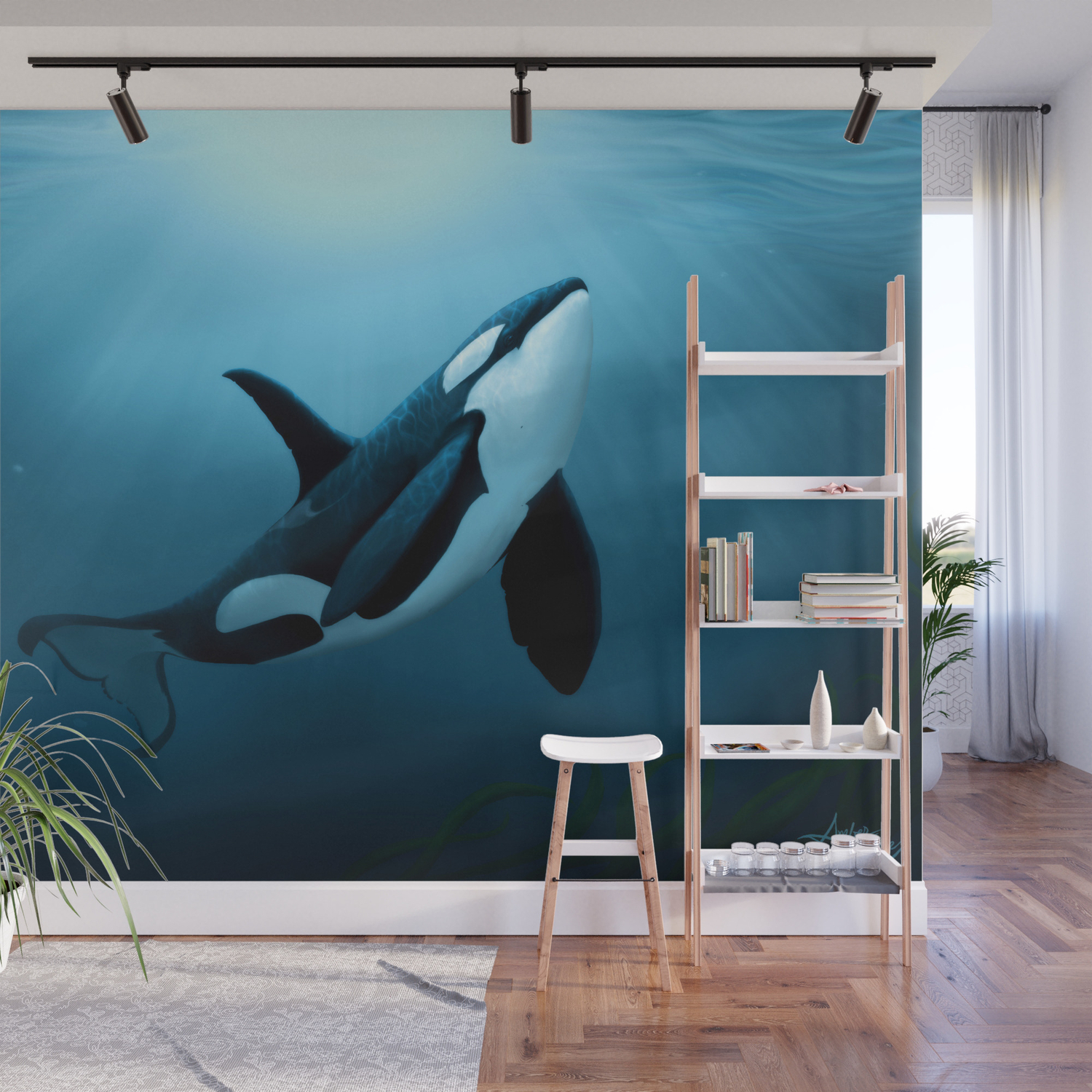 The Dreamer By Amber Marine Orca Killer Whale Art Copyright 2015 Wall Mural By Aroseart Society6