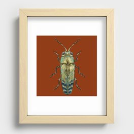 Beetle Recessed Framed Print