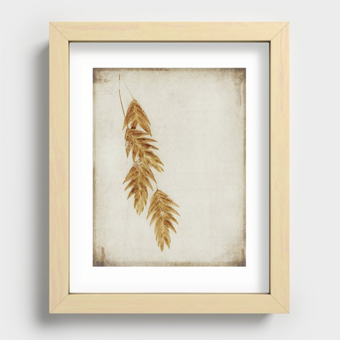with snowflakes Recessed Framed Print