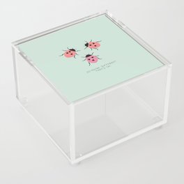 So you’re different. But that’s ok - lady beetles Acrylic Box