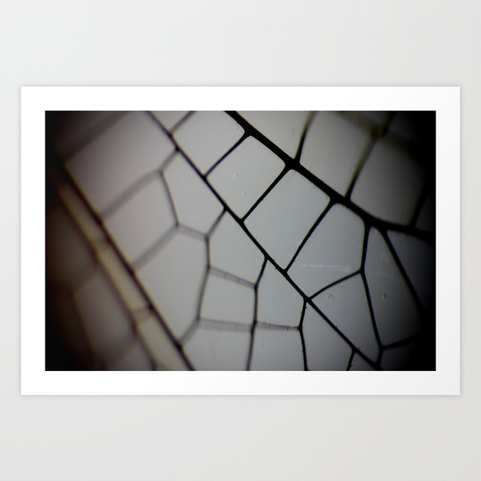 Close up of a Dragon Fly Wing Art Print