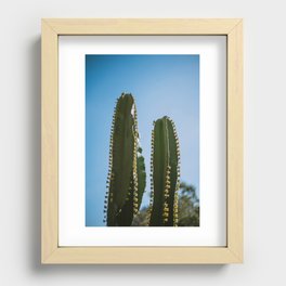 Cactus Photography #3 Recessed Framed Print
