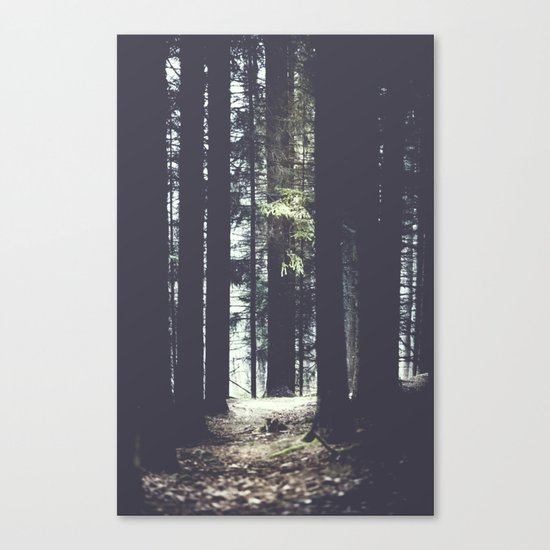 She will guide you Canvas Print