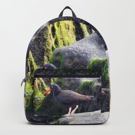 Black Oystercatcher Backpack