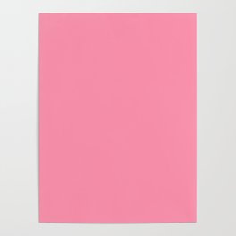Baker Miller Pink Poster