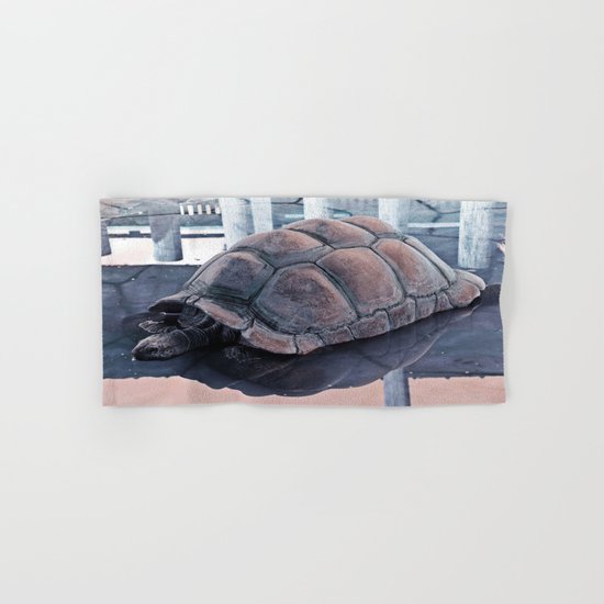 Tortoise Fair in the Pond's Mirror Glare Hand & Bath Towel