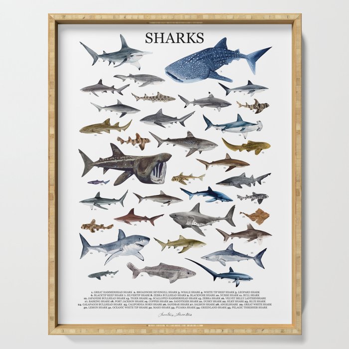 SHARKS poster with names Serving Tray