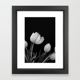 White Tulips Framed Art Print