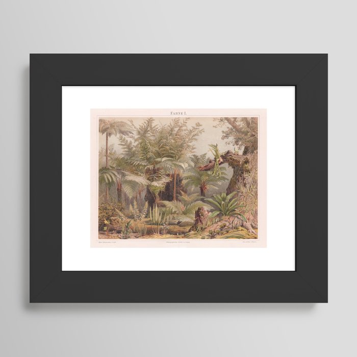 Framed Art Print
