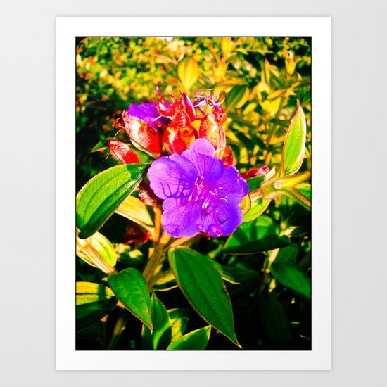 MY LIFE Art Print