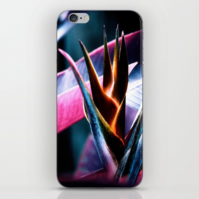 Vibrant Helicon Flower In Purple And Pink iPhone Skin