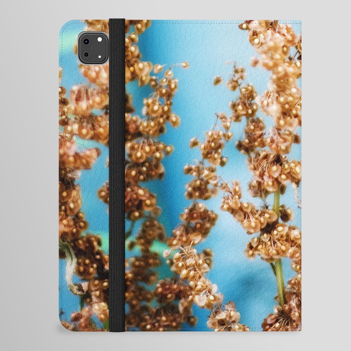 blue and brown iPad Folio Case