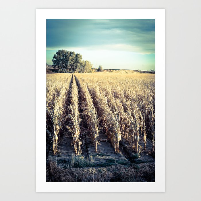 Bucolic Art Print