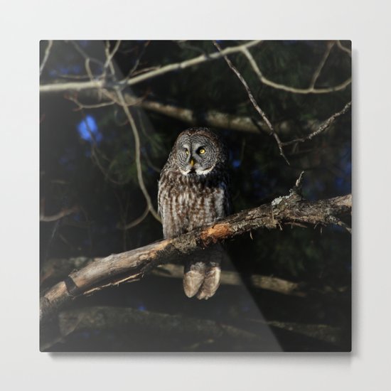 Darkness I defy thee Metal Print