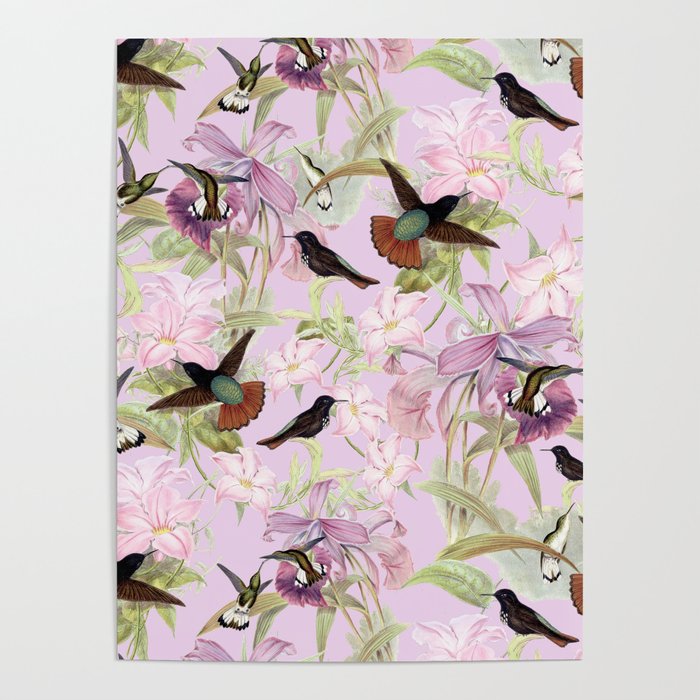 exotic colibri, hummingbird on a flower, tropic garden with
