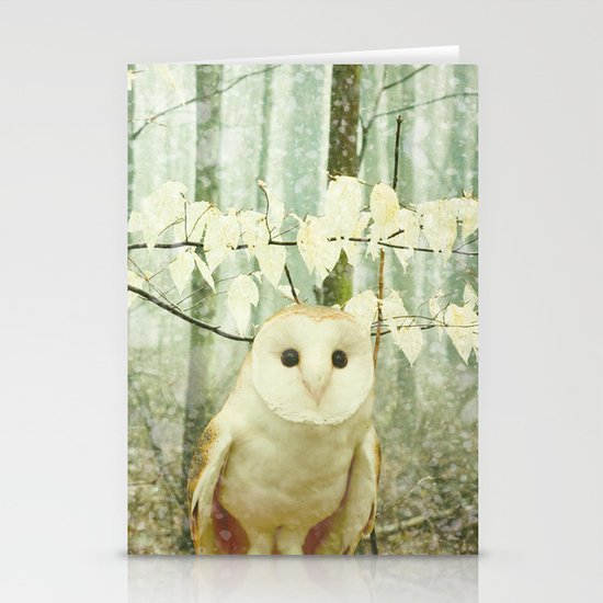 Winter Owl Stationery Cards